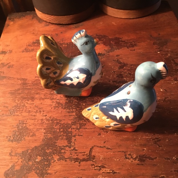 🐞Peacock s&p shaker - Picture 2 of 5